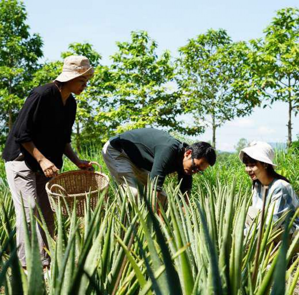 Wanaphan Organic Garden