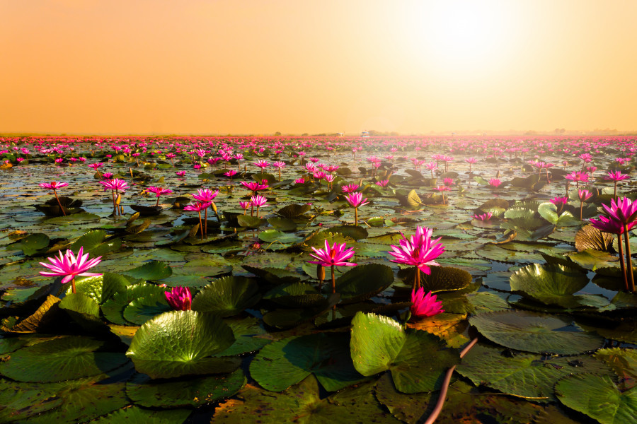 Udon Thani (June) 