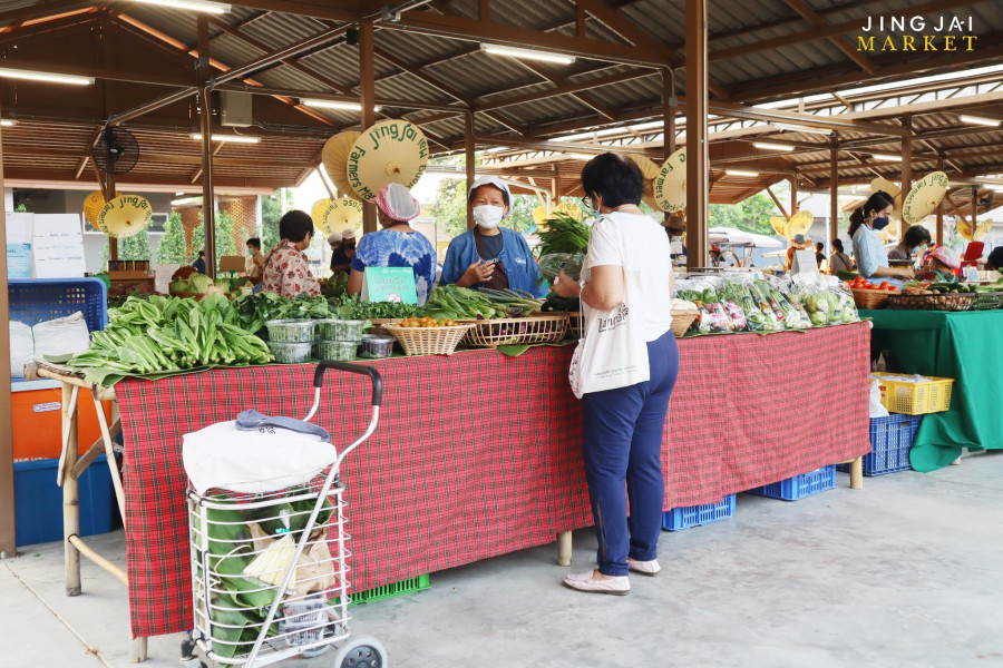 Chiang Mai (August) 