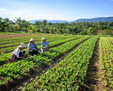 MUST JOIN: Baan Suk Somboon Homestay Watershed Conservation Group